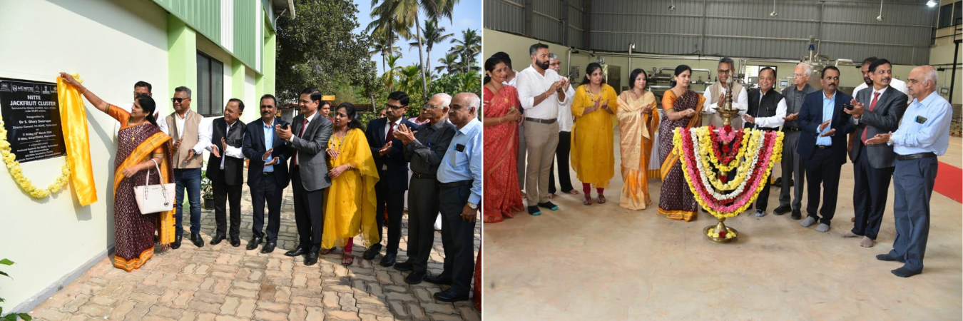 Inauguration of Common Facility Centre at NITTE Jack Fruit Cluster, Karnataka supported by Ministry of MSME, Govt. of India under SFURTI Scheme